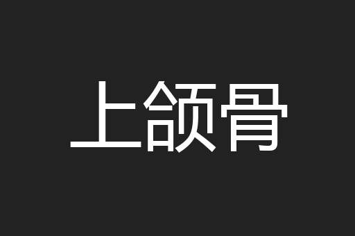 上颌骨
