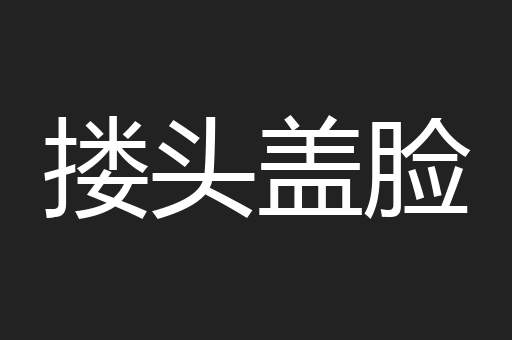 搂头盖脸