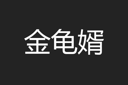 金龟婿