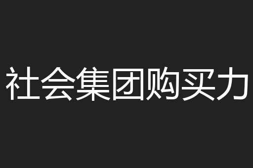 社会集团购买力