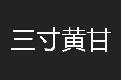 三寸黄甘