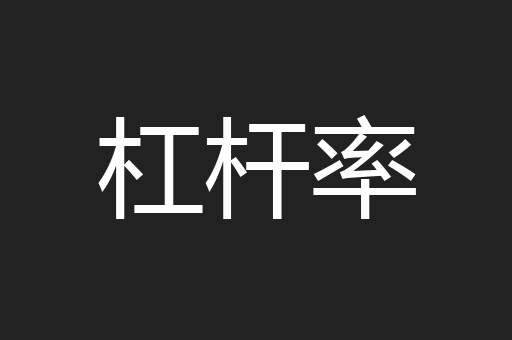 杠杆率