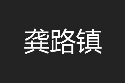 龚路镇