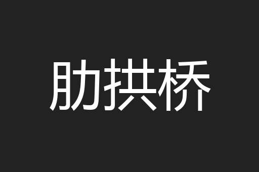 肋拱桥