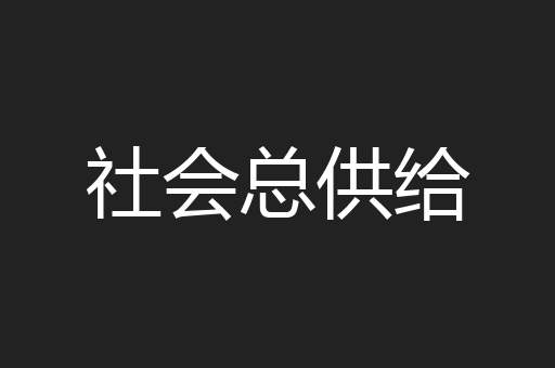 社会总供给