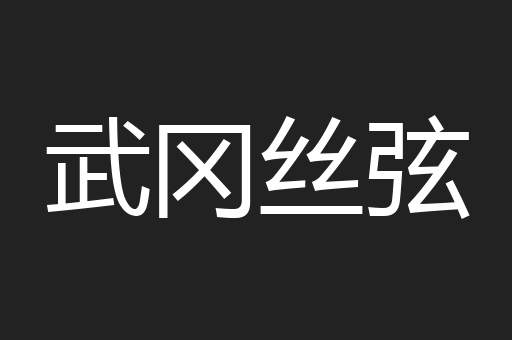 武冈丝弦