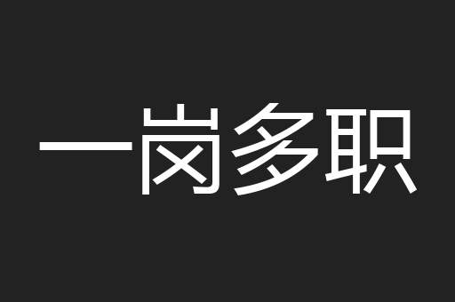 一岗多职