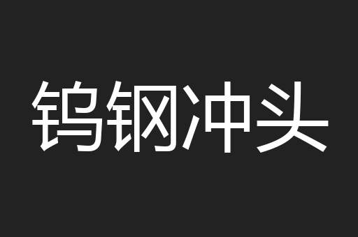 钨钢冲头