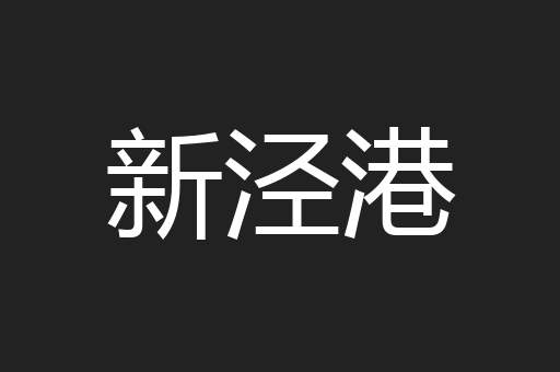 新泾港