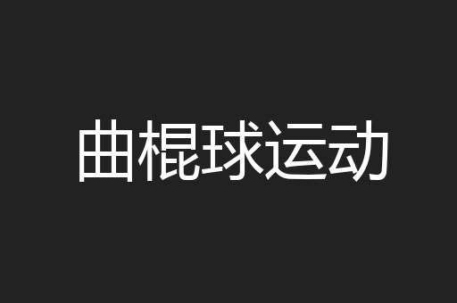 曲棍球运动