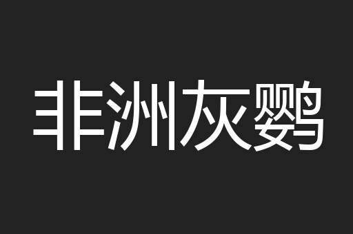非洲灰鹦
