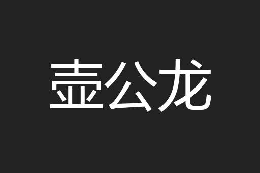 壶公龙