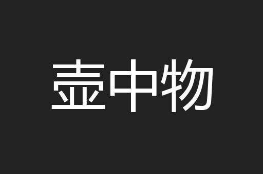 壶中物