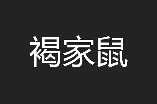 褐家鼠