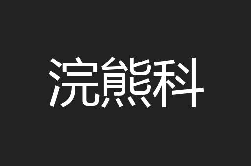 浣熊科
