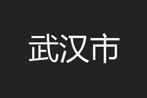 武汉市