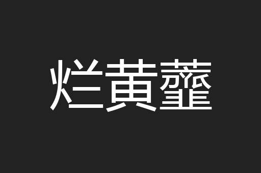 烂黄虀