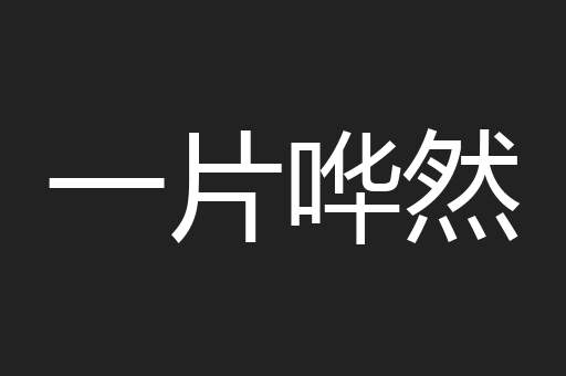 一片哗然