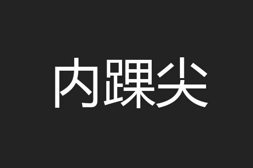 内踝尖