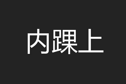 内踝上