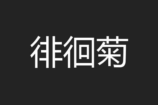 徘徊菊