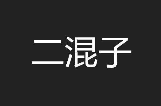 二混子