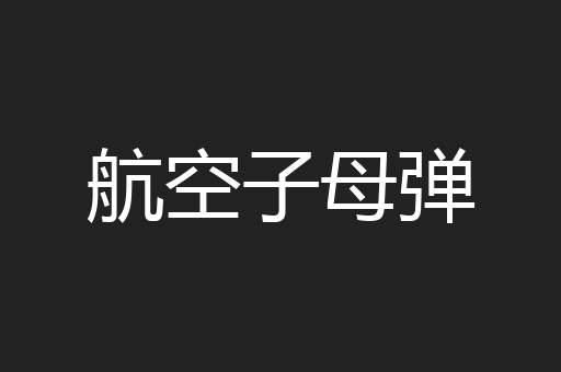 航空子母弹