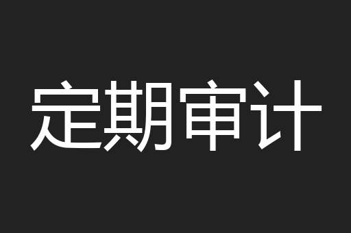 定期审计