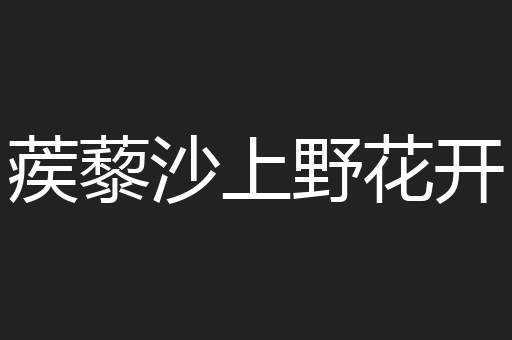蒺藜沙上野花开