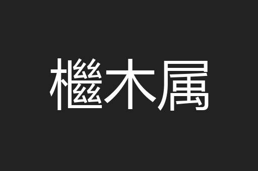 檵木属