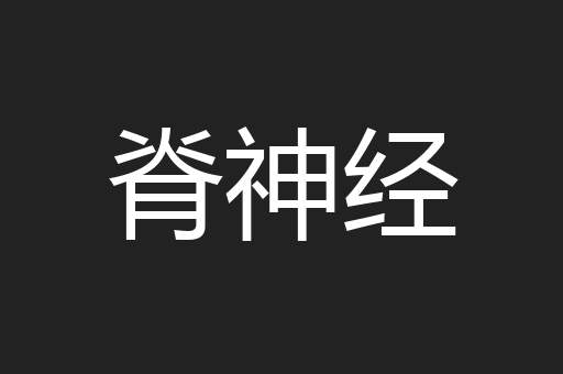 脊神经