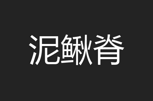 泥鳅脊