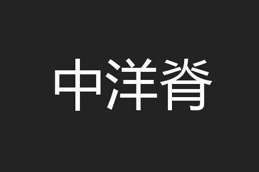 中洋脊