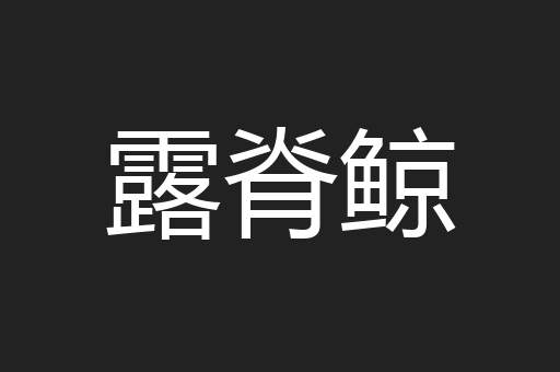 露脊鲸