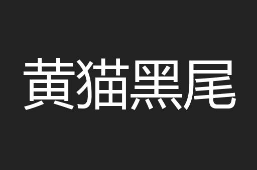 黄猫黑尾