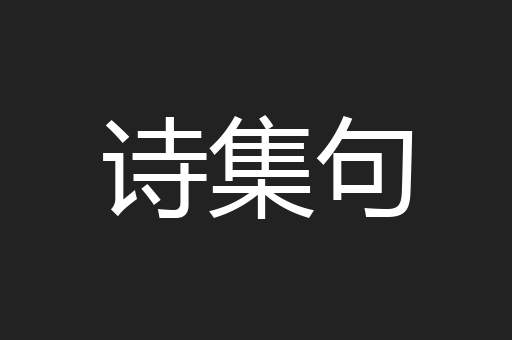 诗集句