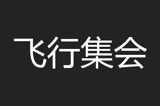 飞行集会