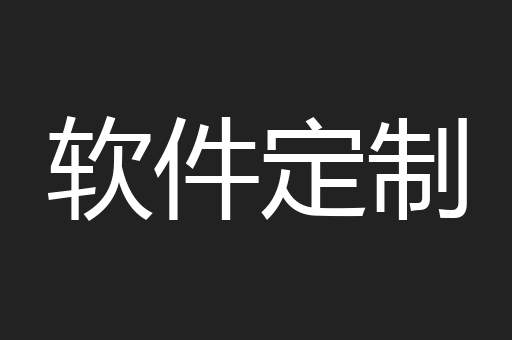 软件定制