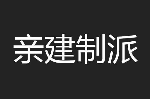 亲建制派