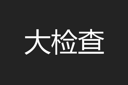 大检查