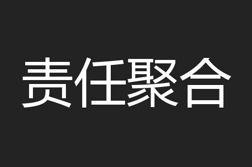 责任聚合