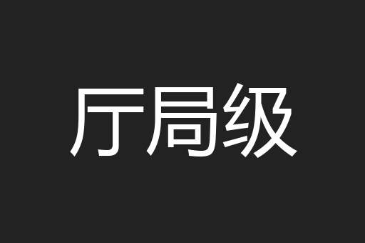 厅局级