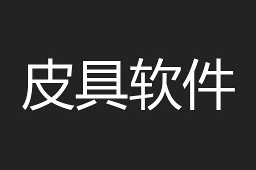 皮具软件