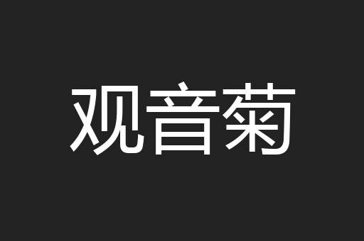 观音菊