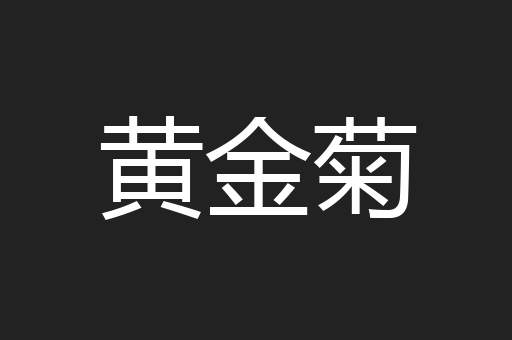 黄金菊