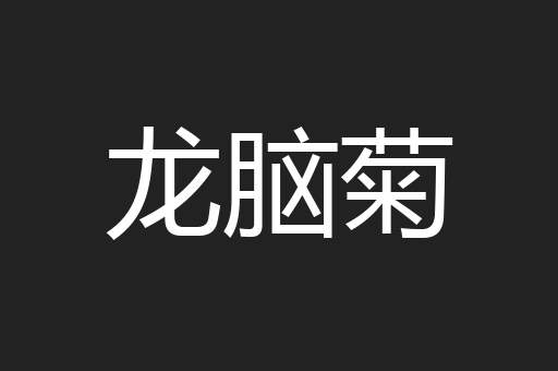 龙脑菊