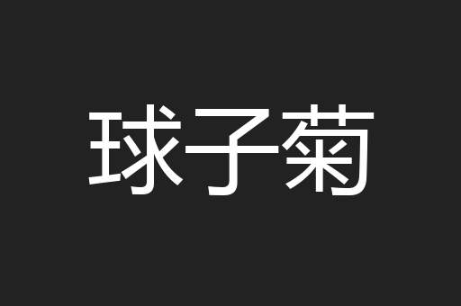 球子菊