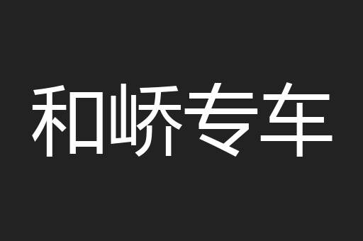 和峤专车