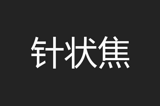 针状焦