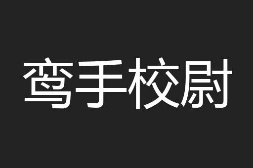 鸾手校尉